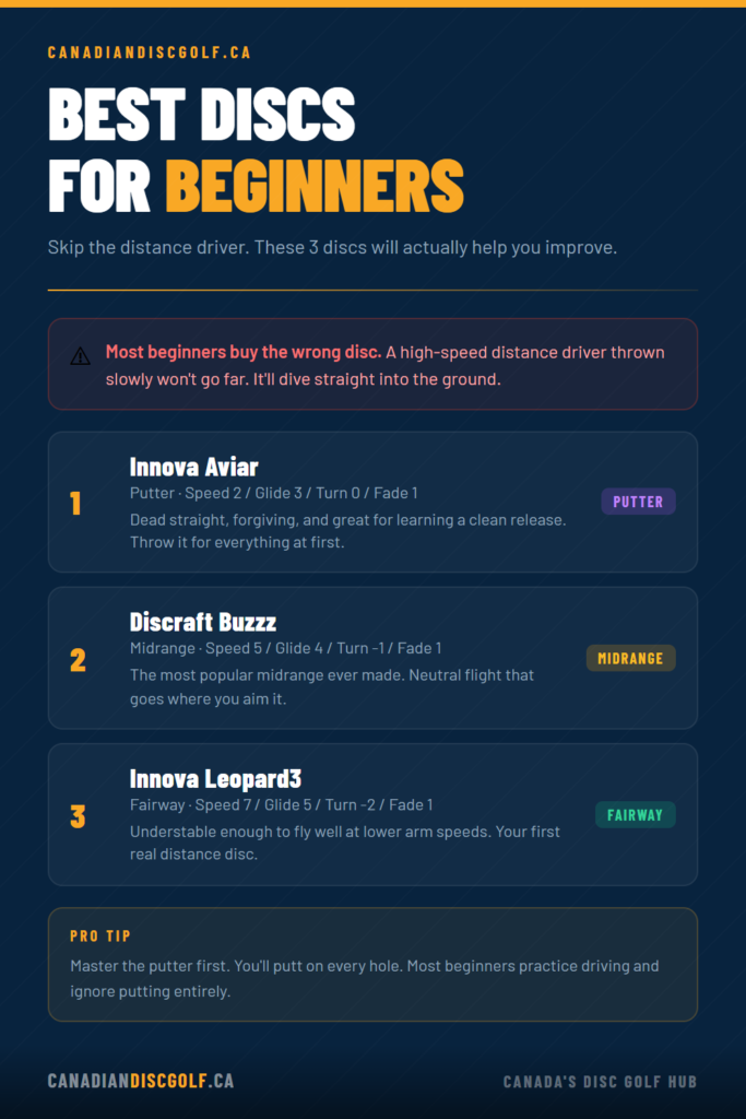 Best Discs for Beginners