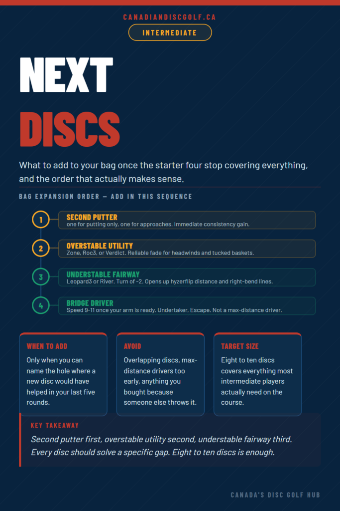 How to Build a Disc Golf Bag for Intermediate Players: What to Add & When
