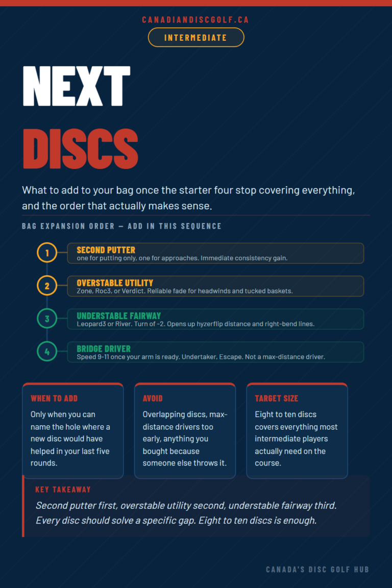 Describes what disc golf discs make the most sense to add to your bag next.